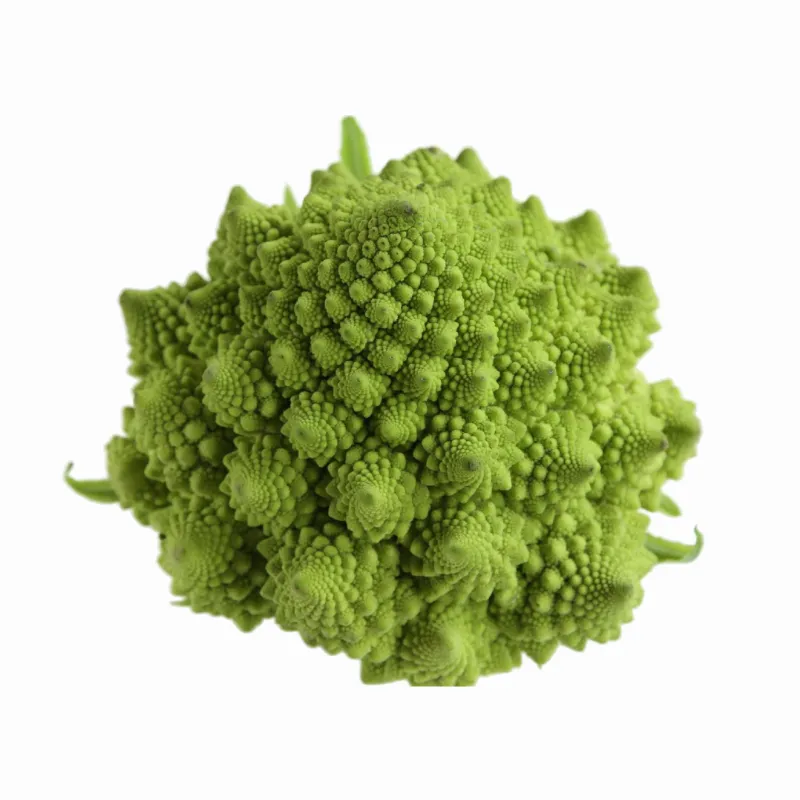 Imagen ilustrativa del producto