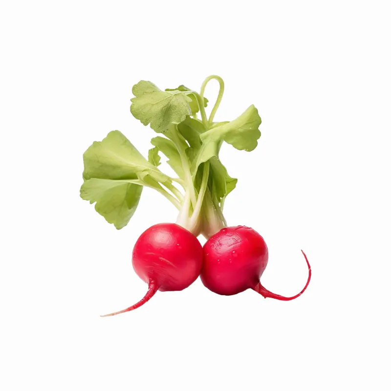 Image illustrative du produit
