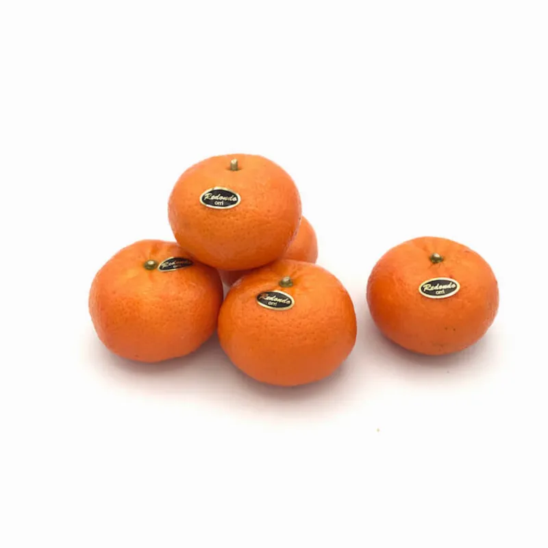 Image illustrative du produit
