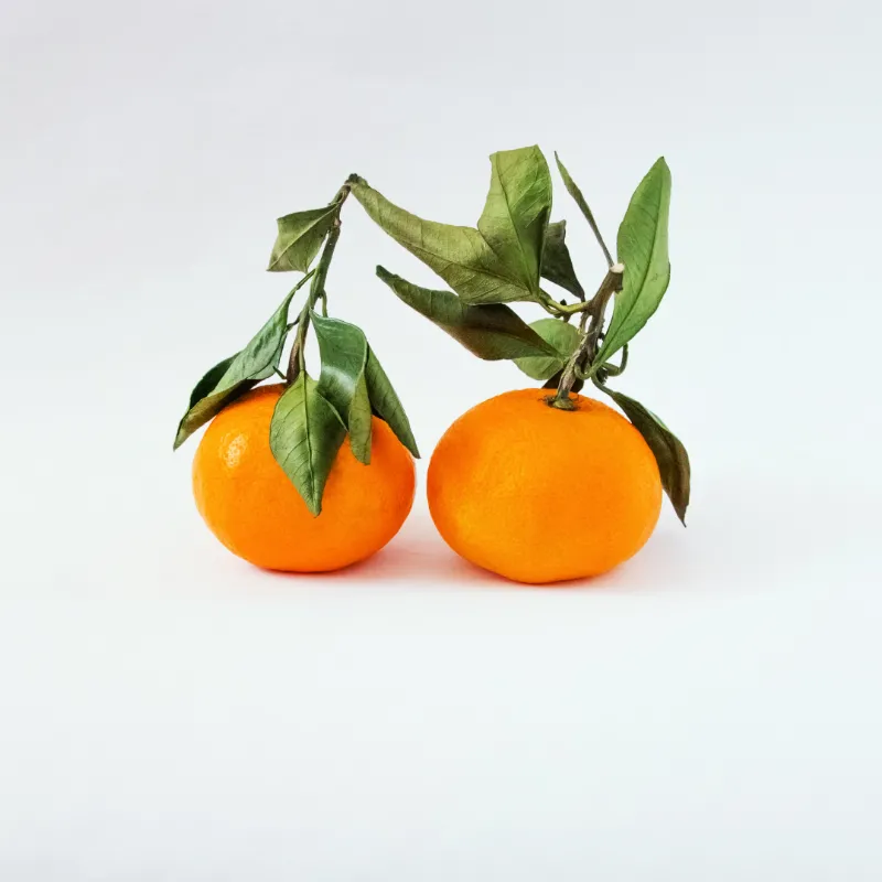Image illustrative du produit